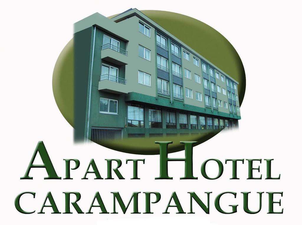 Apart Hotel Carampangue Valdivia Værelse billede